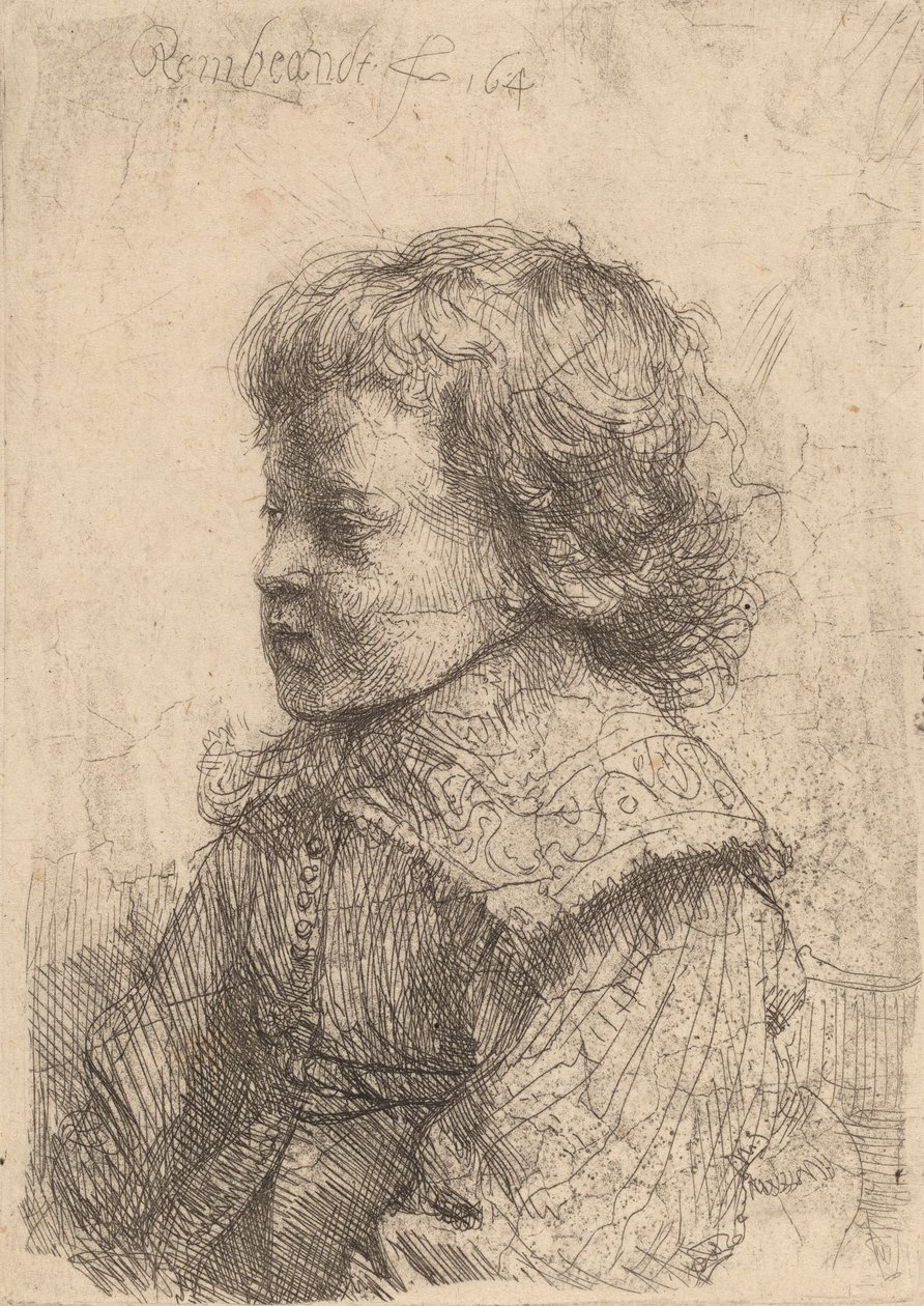 Retrato de um menino de perfil, 1641. de Rembrandt van Rijn