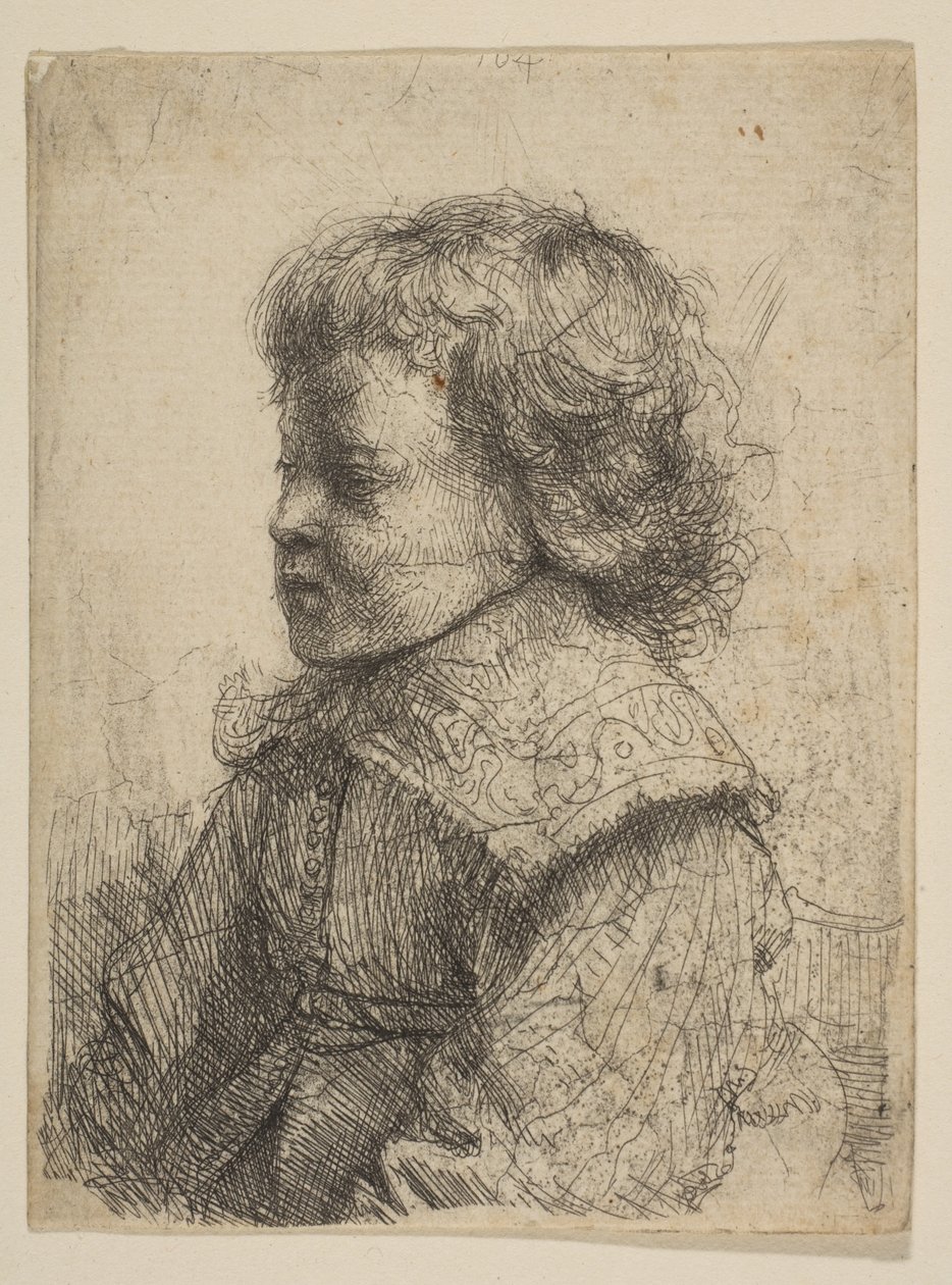 Retrato de um menino, em perfil, 1641. de Rembrandt van Rijn