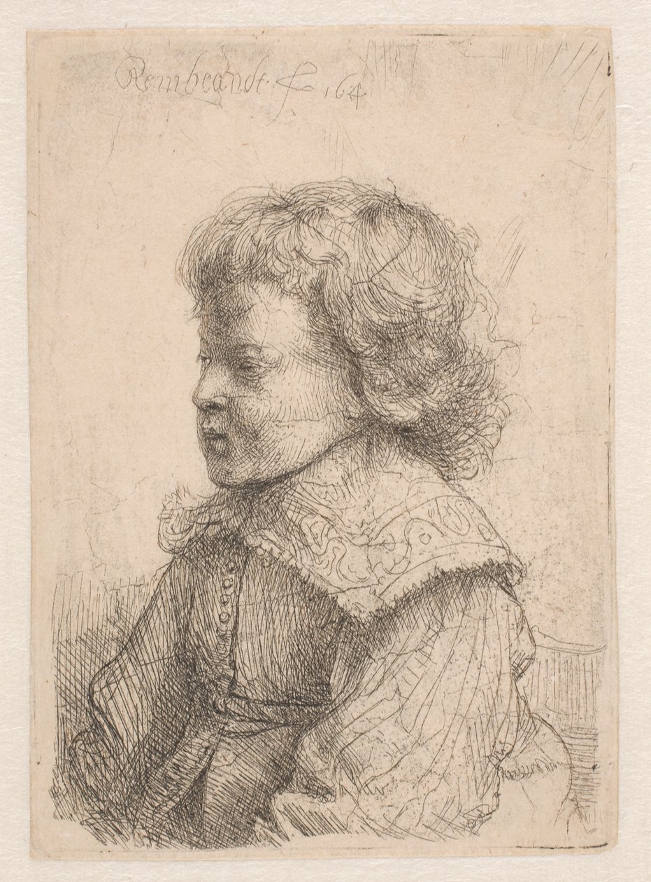 Retrato de um rapaz, de perfil de Rembrandt van Rijn