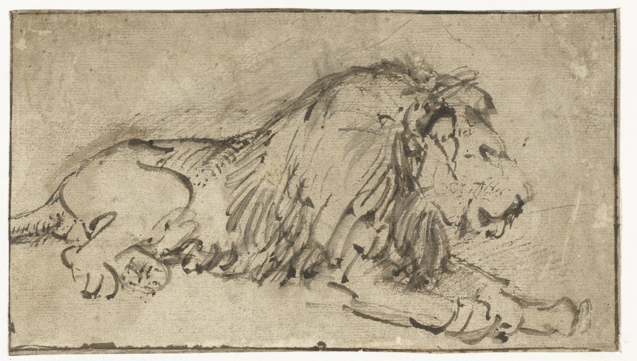 Leão Reclinado de Rembrandt van Rijn