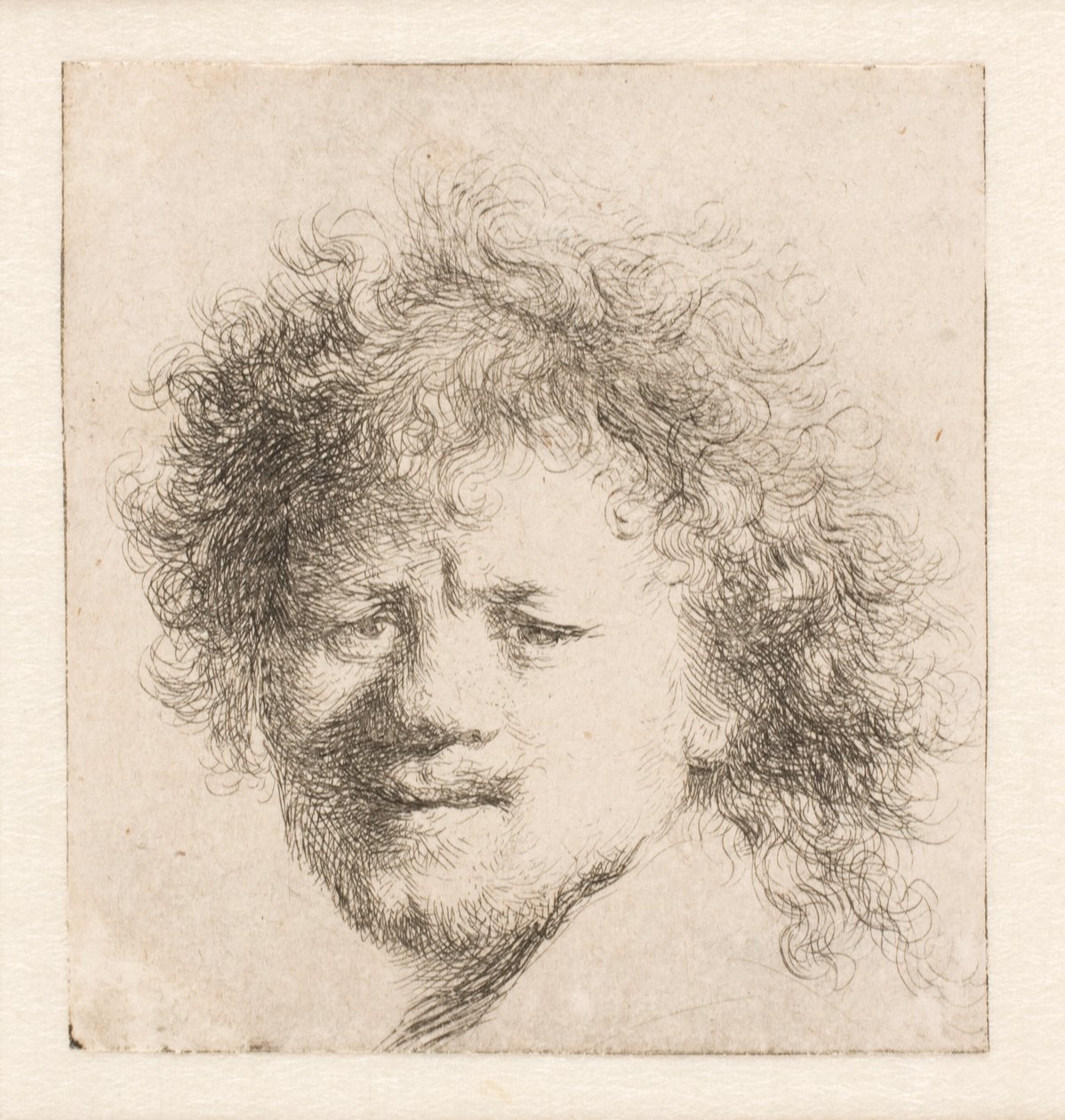 Rembrandt com cabelo comprido e espesso: apenas a cabeça de Rembrandt van Rijn