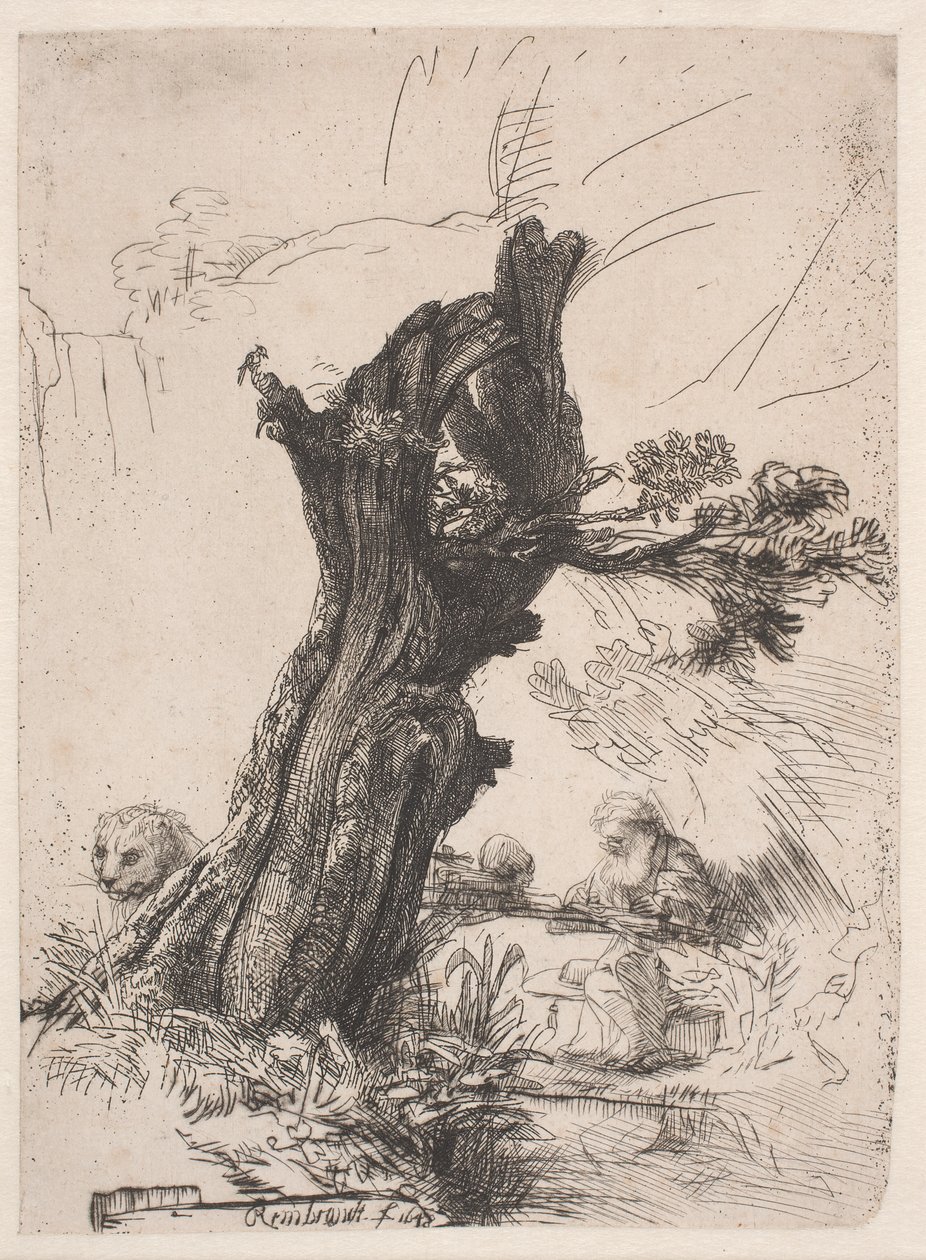 S. Jerónimo junto a um salgueiro podado de Rembrandt van Rijn