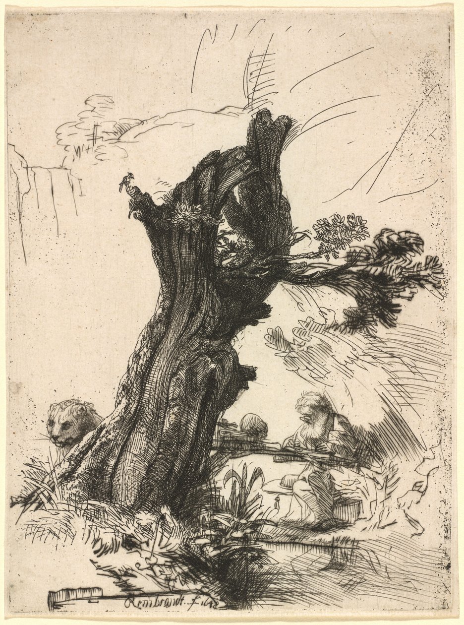 São Jerônimo ao lado de um Pollard Willow de Rembrandt van Rijn
