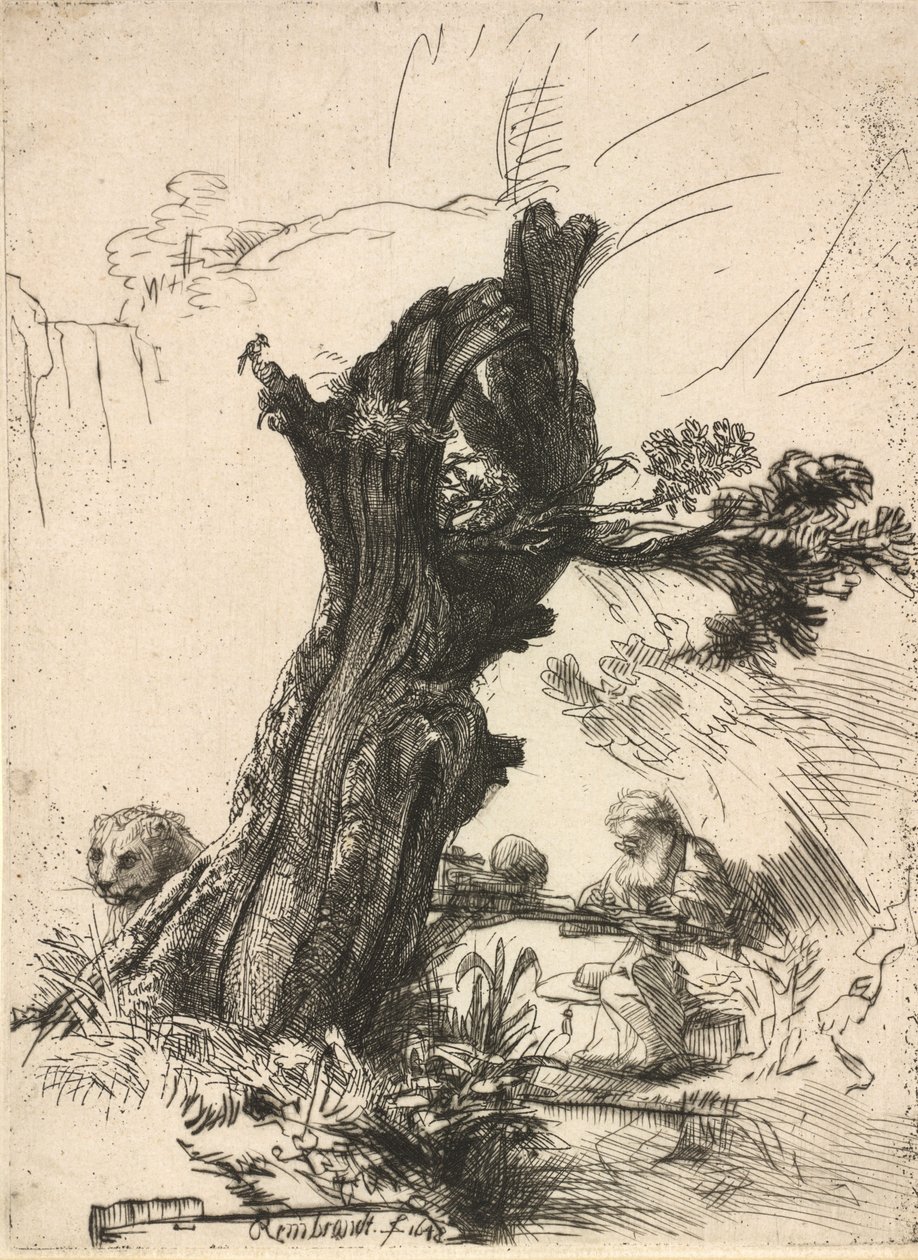 São Jerônimo ao lado de um Salgueiro Pollard, 1648. de Rembrandt van Rijn