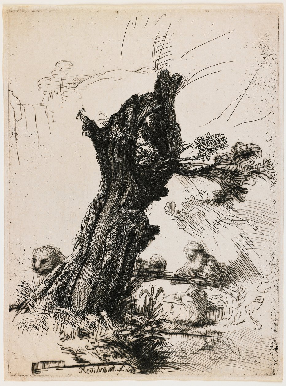 São Jerónimo junto ao salgueiro podado de Rembrandt van Rijn