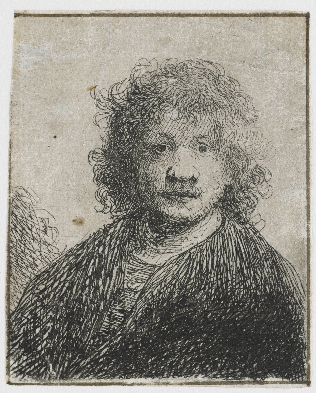 Auto-retrato de nariz largo
Auto-retrato com um nariz largo de Rembrandt van Rijn