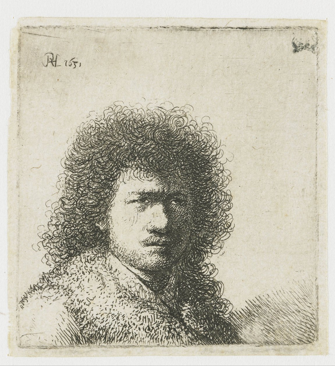 Auto-retrato com cabelo peludo: busto de Rembrandt van Rijn