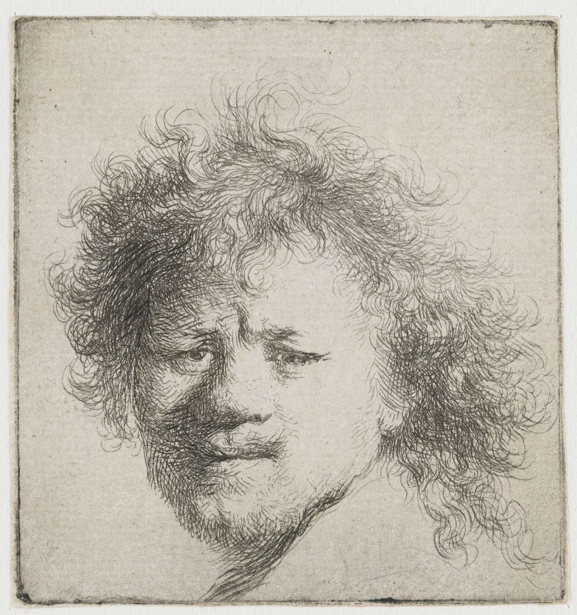 Auto-retrato com cabelo comprido e peludo: apenas cabeça de Rembrandt van Rijn