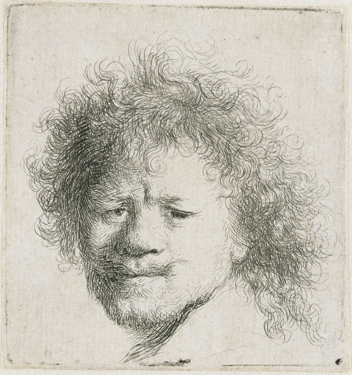 Auto-retrato com cabelo comprido e volumoso: apenas a cabeça de Rembrandt van Rijn