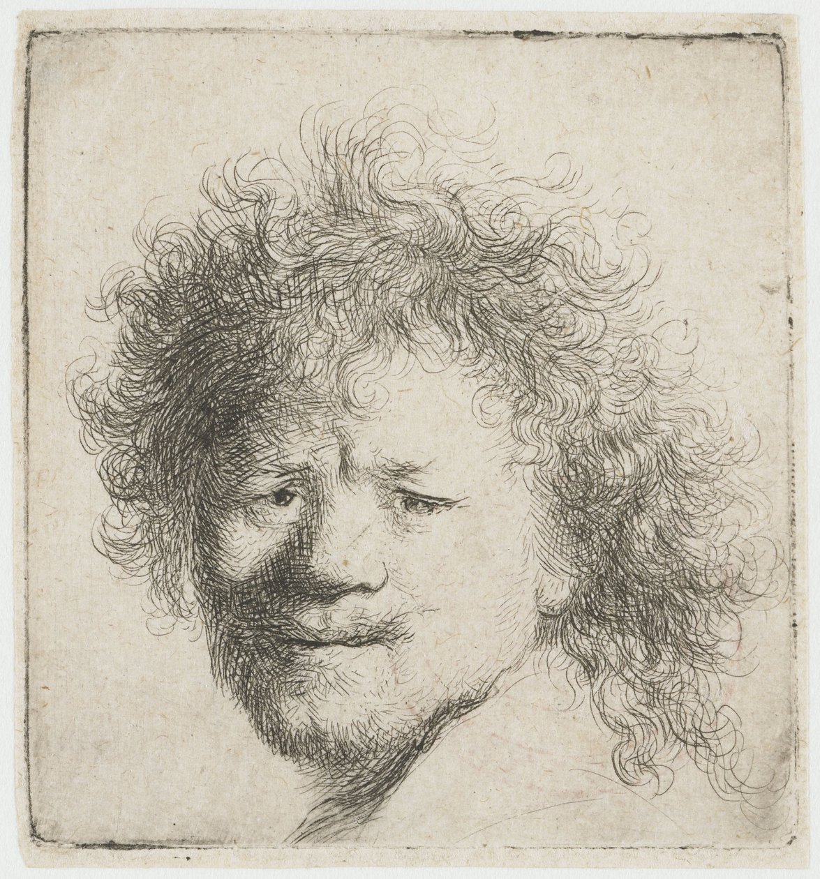 Auto-retrato com cabelo comprido e volumoso: apenas a cabeça de Rembrandt van Rijn