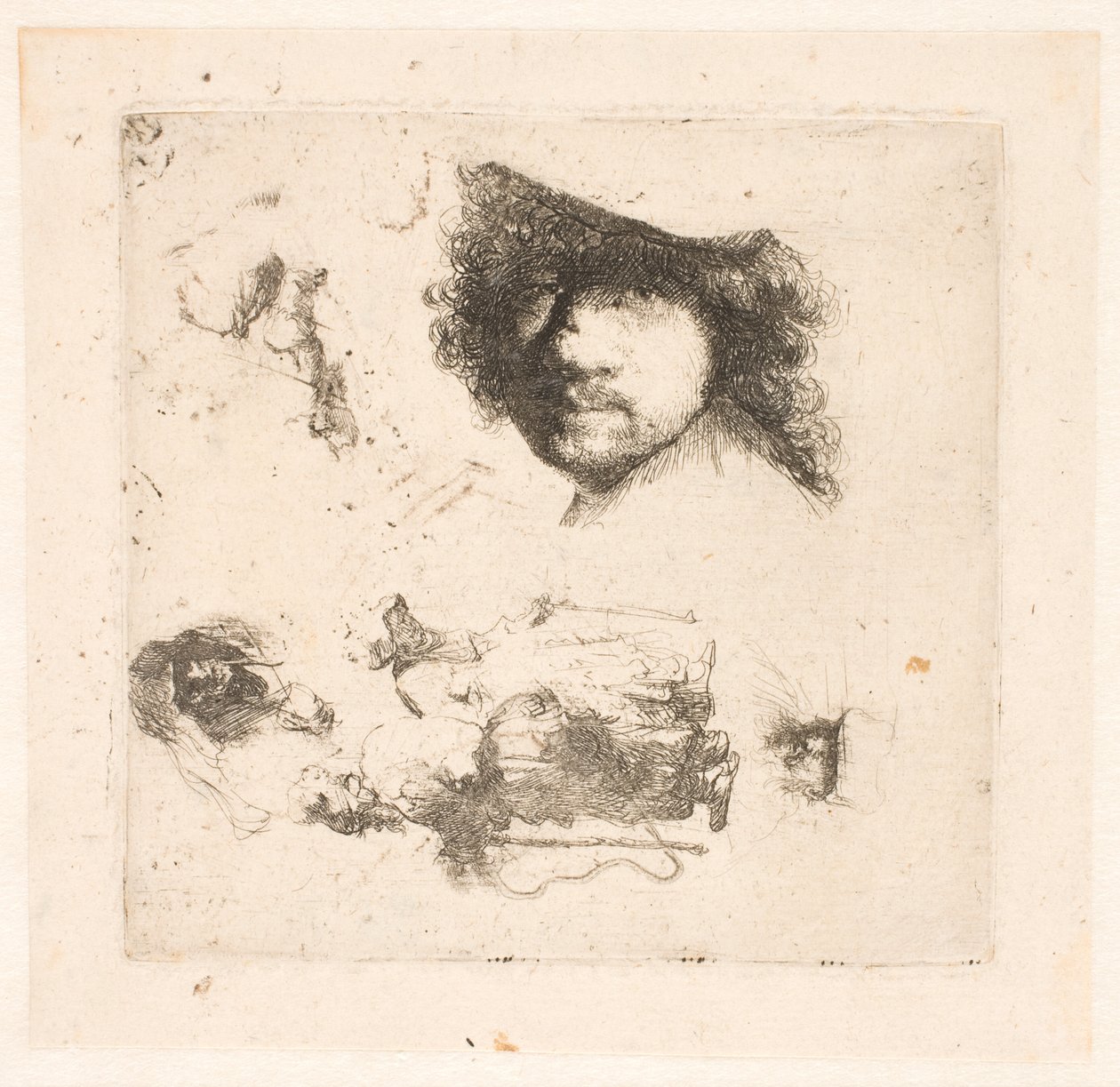Folha de estudos: cabeça de Rembrandt, casal de mendigos, cabeças de velho e velha, etc. de Rembrandt van Rijn