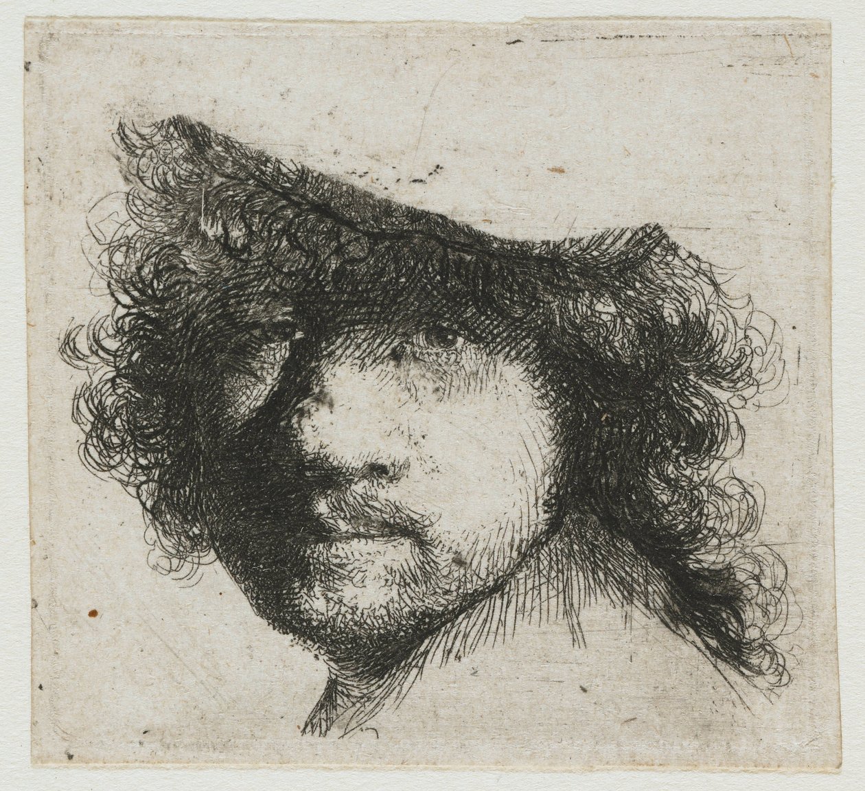 Folha de estudos: cabeça do artista de Rembrandt van Rijn