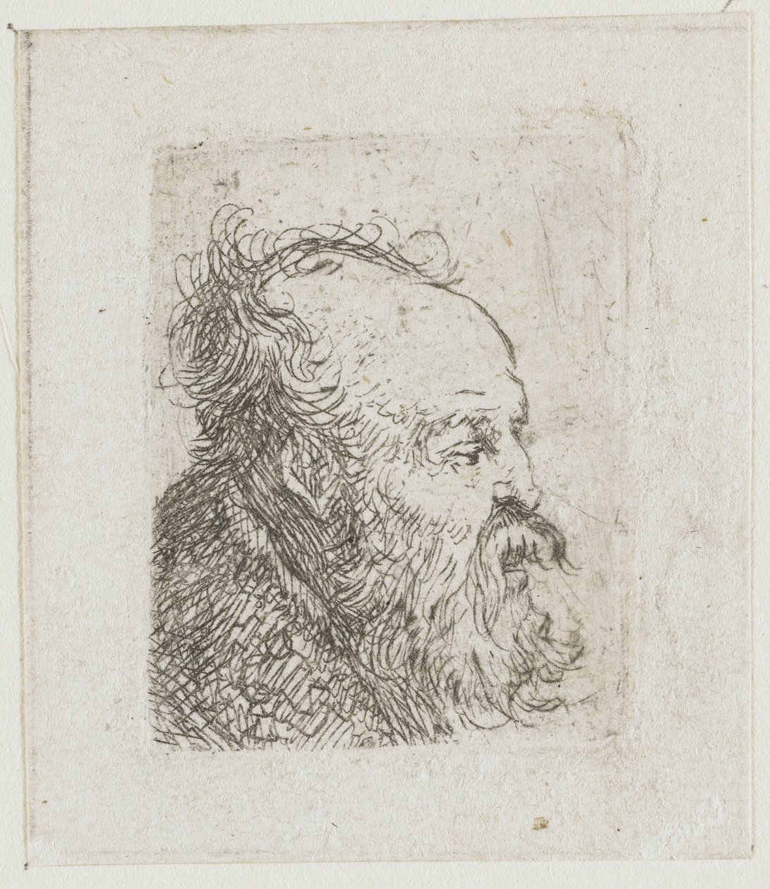 Folha com desenhos de cabeças de homens: homem idoso com barba, quase de perfil para a direita: boca entreaberta de Rembrandt van Rijn