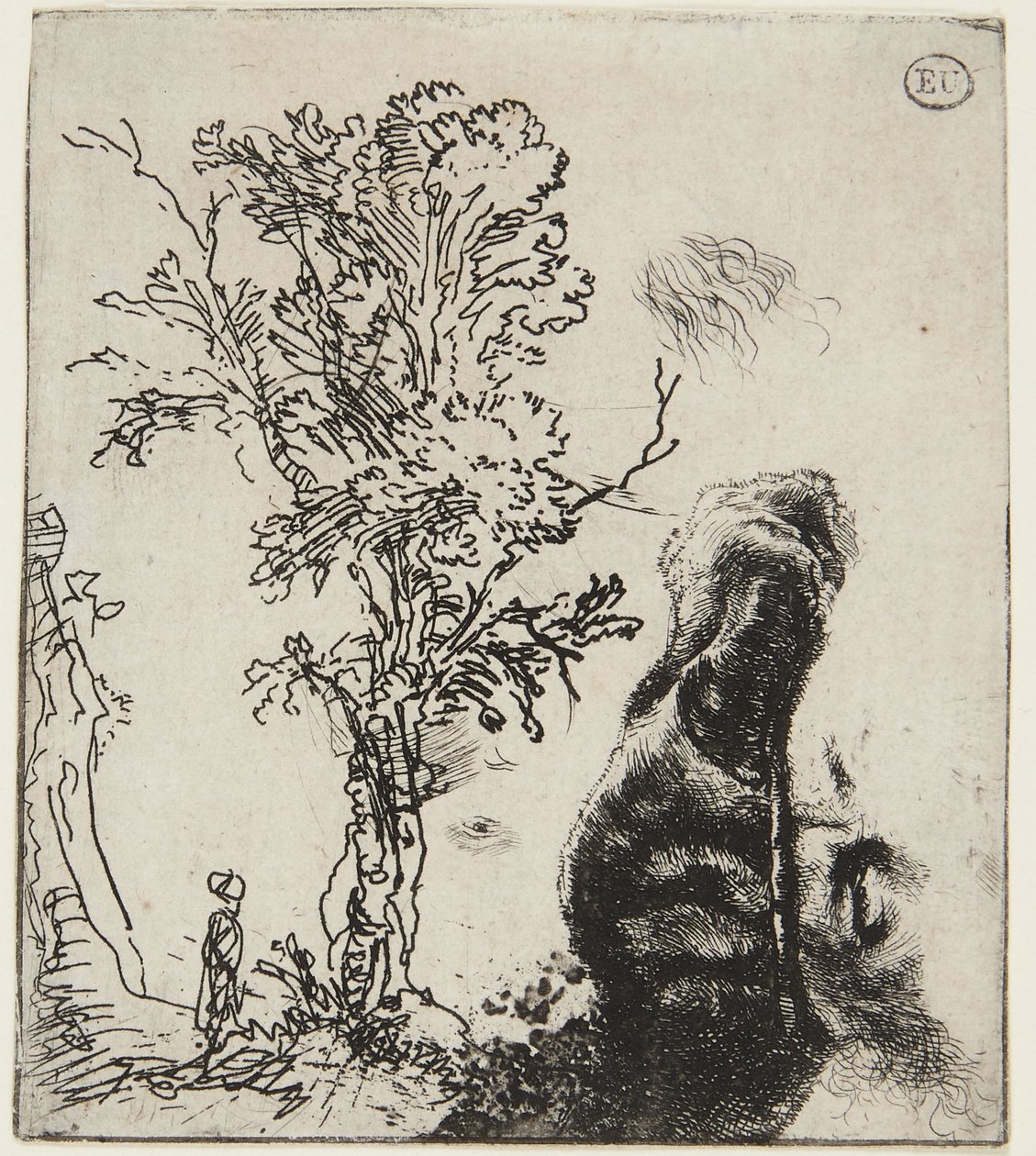 Folha com dois esboços: Uma árvore e a parte superior de um autorretrato com um gorro de veludo de Rembrandt van Rijn