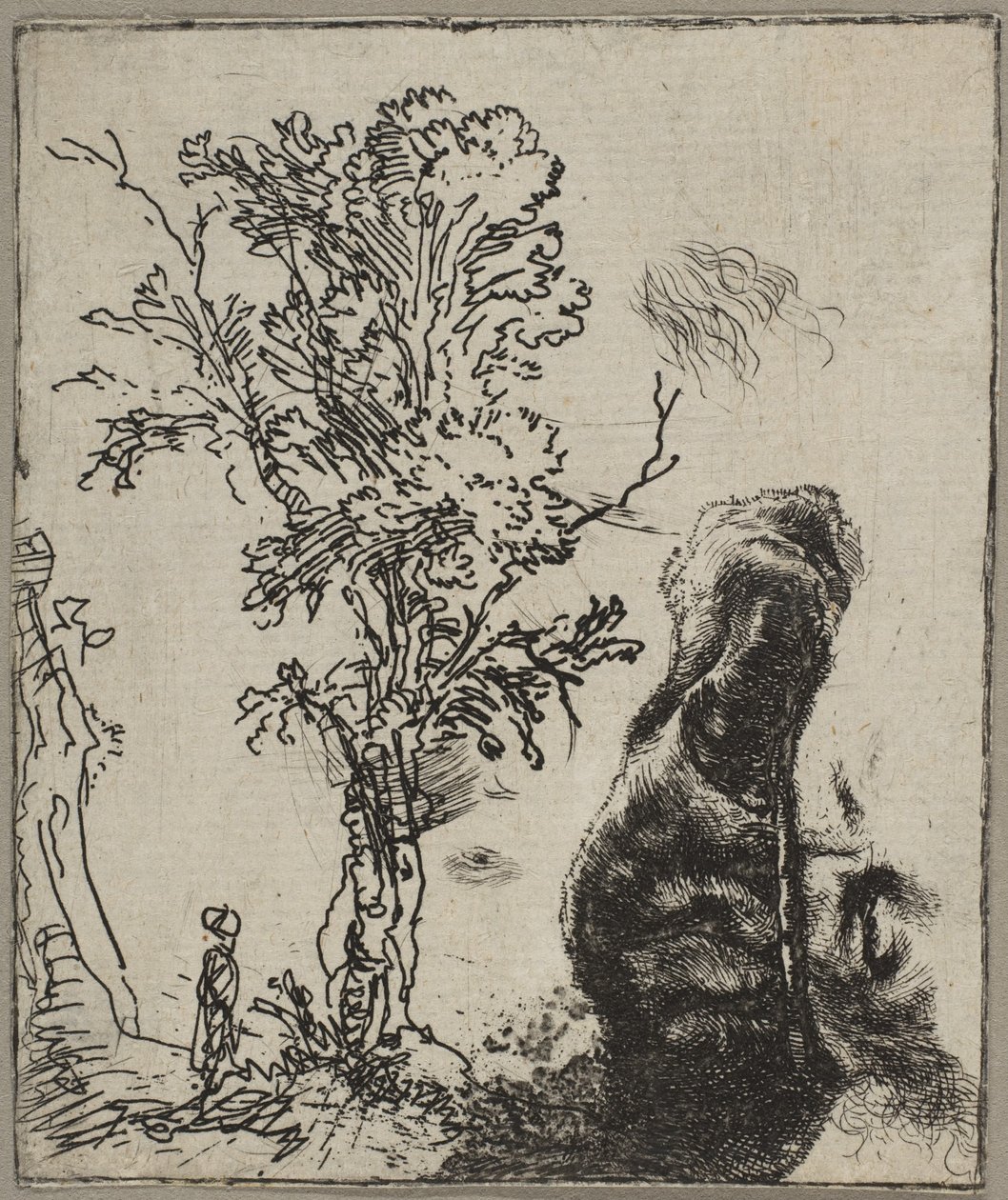 Folha com dois estudos: uma árvore e a parte superior de uma cabeça de Rembrandt usando um vel ..., ca. 1642 de Rembrandt van Rijn