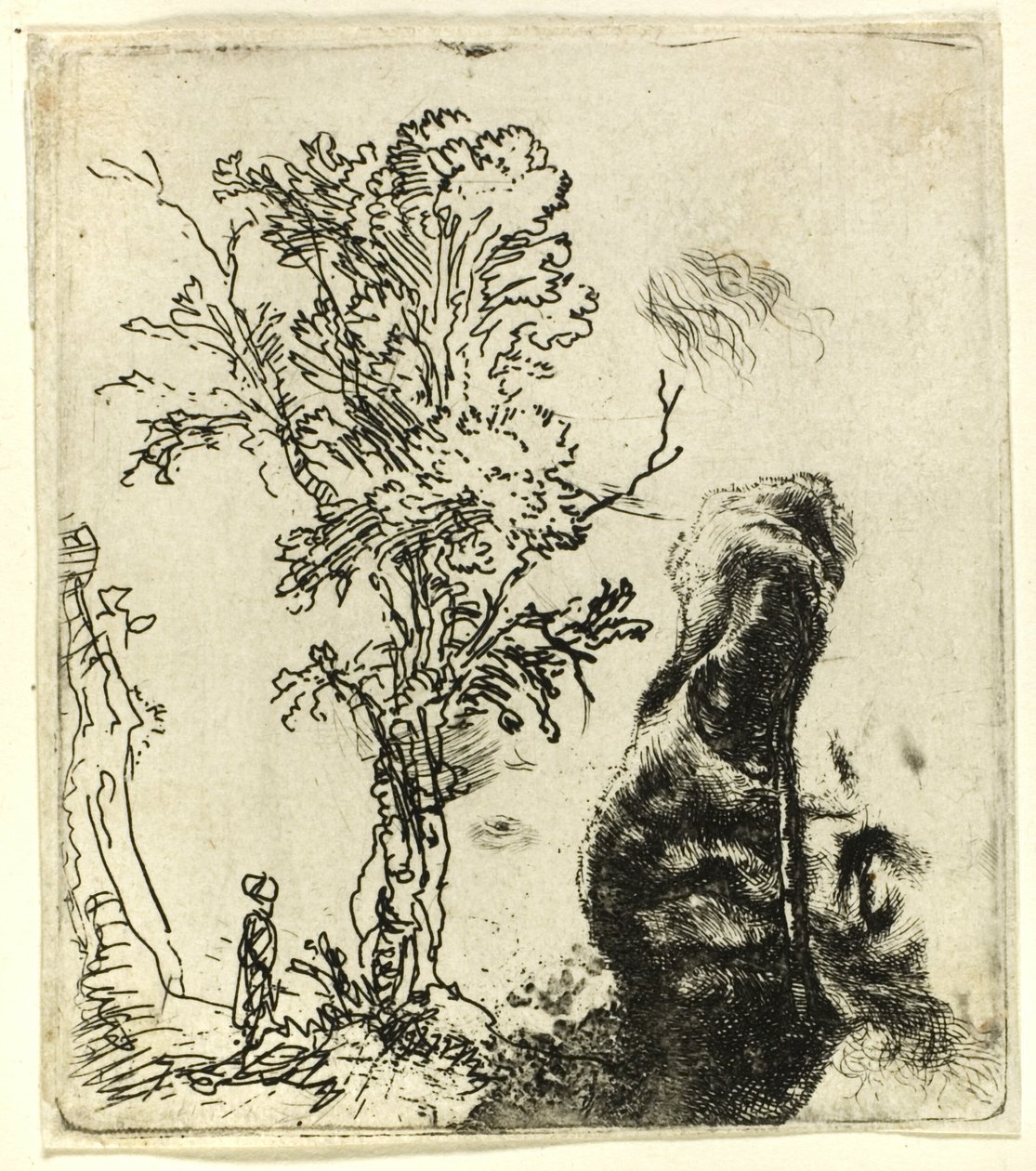 Folha com dois estudos: uma árvore e a parte superior da cabeça do artista usando um gorro de veludo de Rembrandt van Rijn