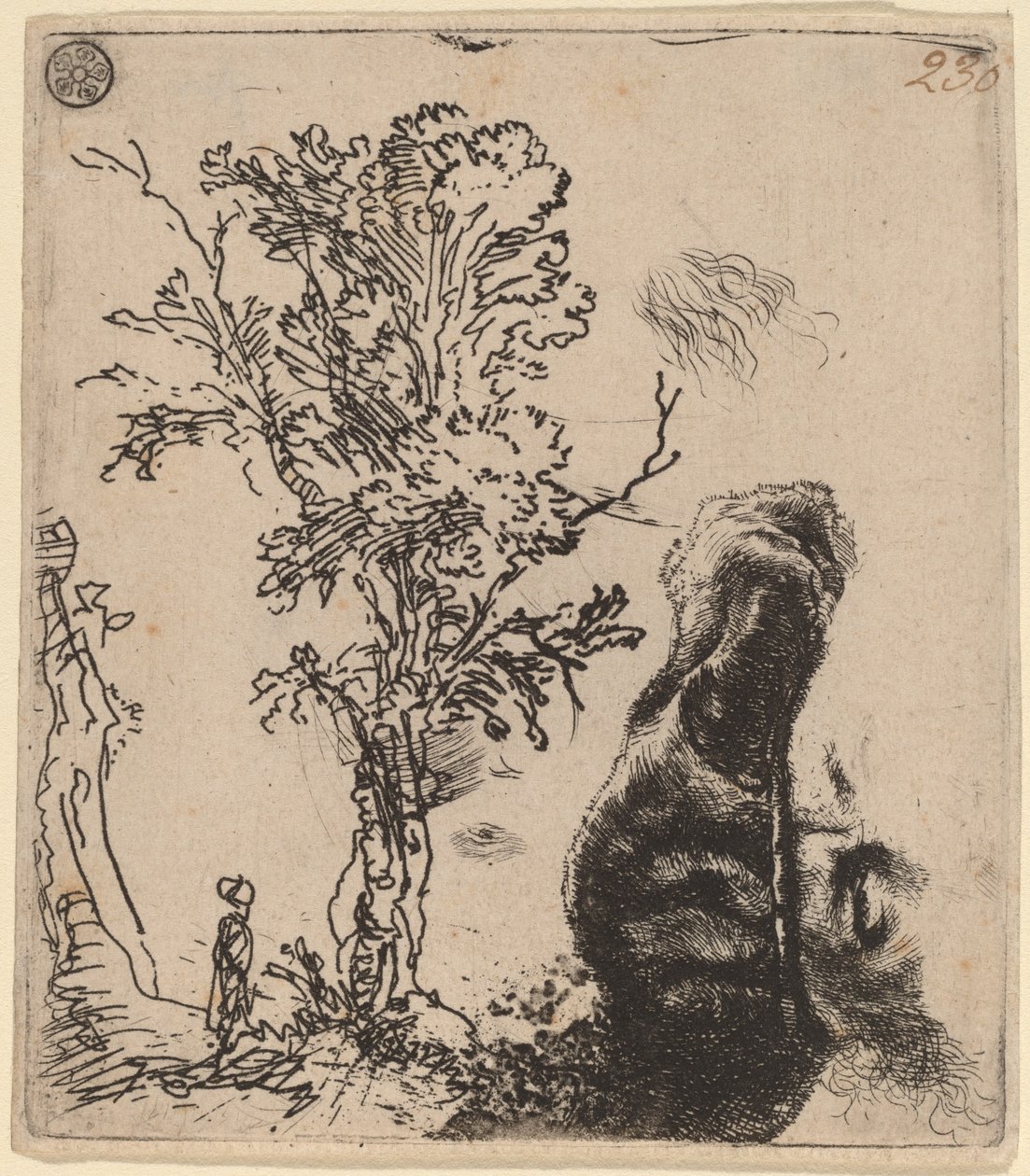 Folha com dois estudos: uma árvore e a parte superior de uma cabeça do artista usando um gorro de veludo de Rembrandt van Rijn