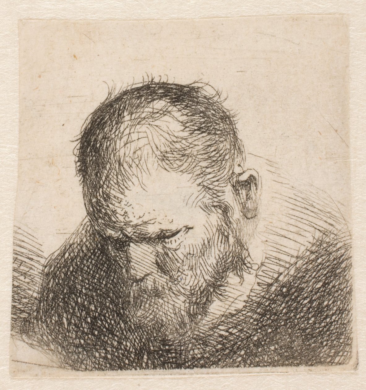 Pequeno busto de um homem barbudo a olhar para baixo, com os olhos quase fechados de Rembrandt van Rijn