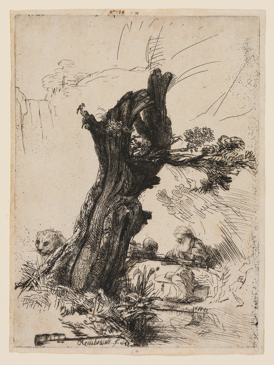 São Jerônimo ao lado de um Salgueiro Pollard de Rembrandt van Rijn