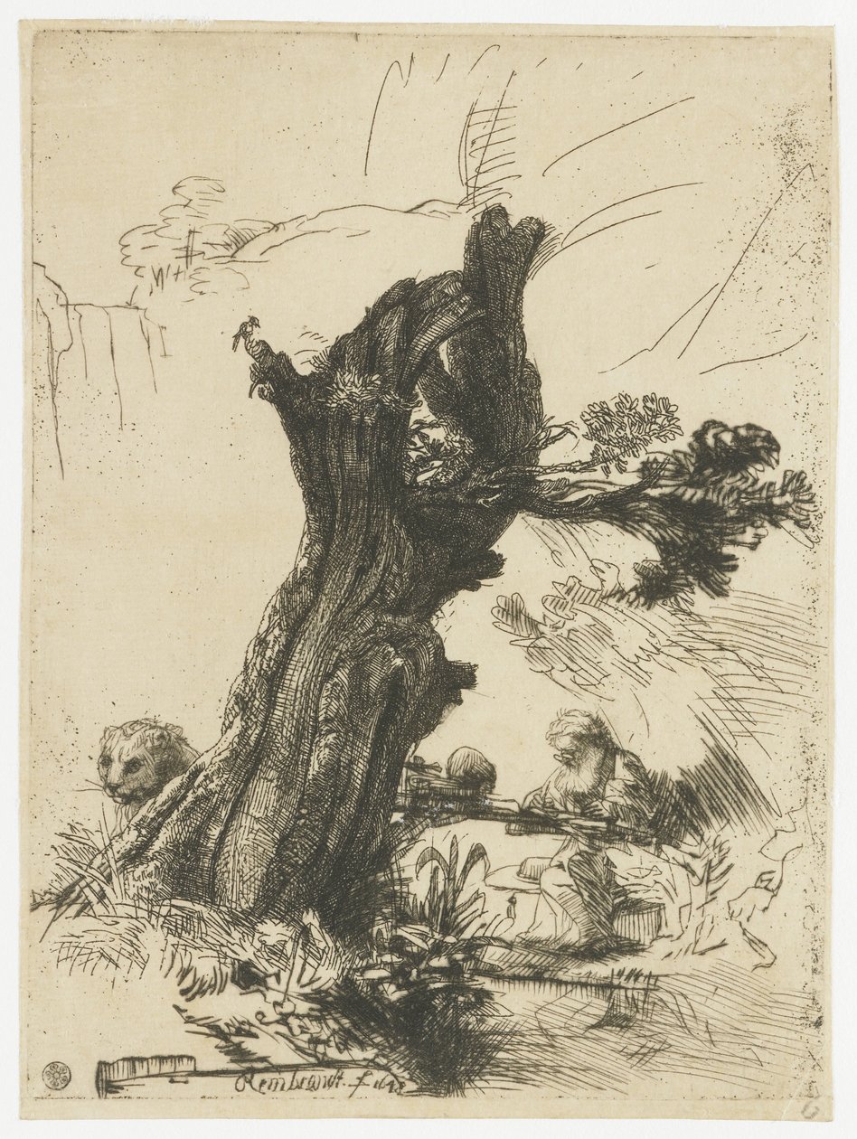 São Jerónimo ao lado de um salgueiro de sondagem de Rembrandt van Rijn