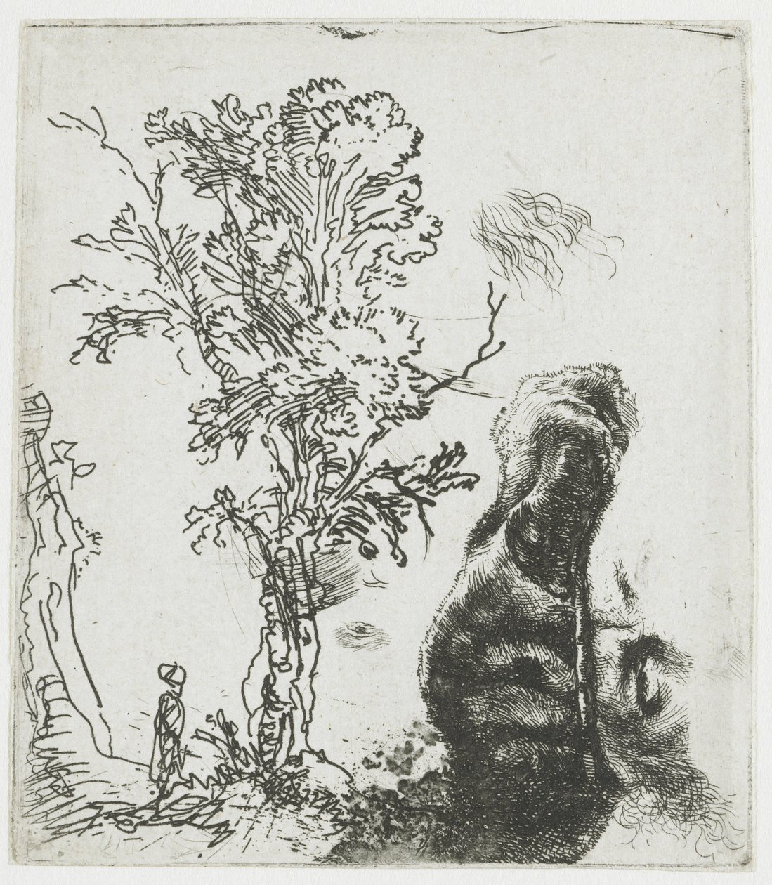 Folha de estudo com uma árvore e a parte superior da cabeça de Rembrandt com um quepe de Rembrandt van Rijn