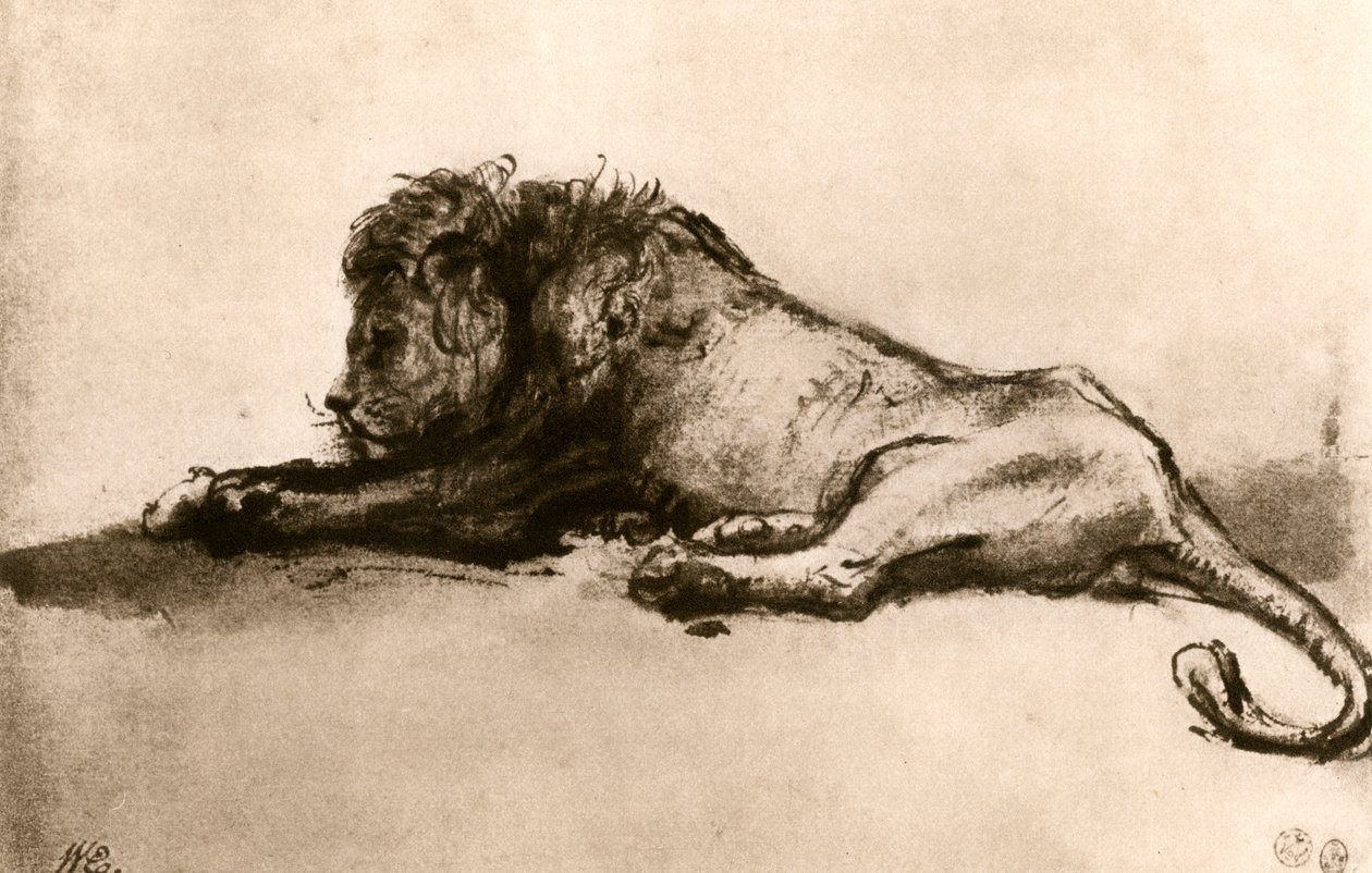 Estudo de um leão, 1913. de Rembrandt van Rijn