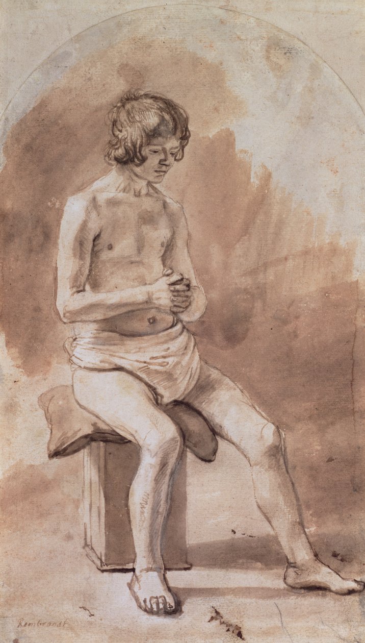 Estudo de uma juventude nua de Rembrandt van Rijn