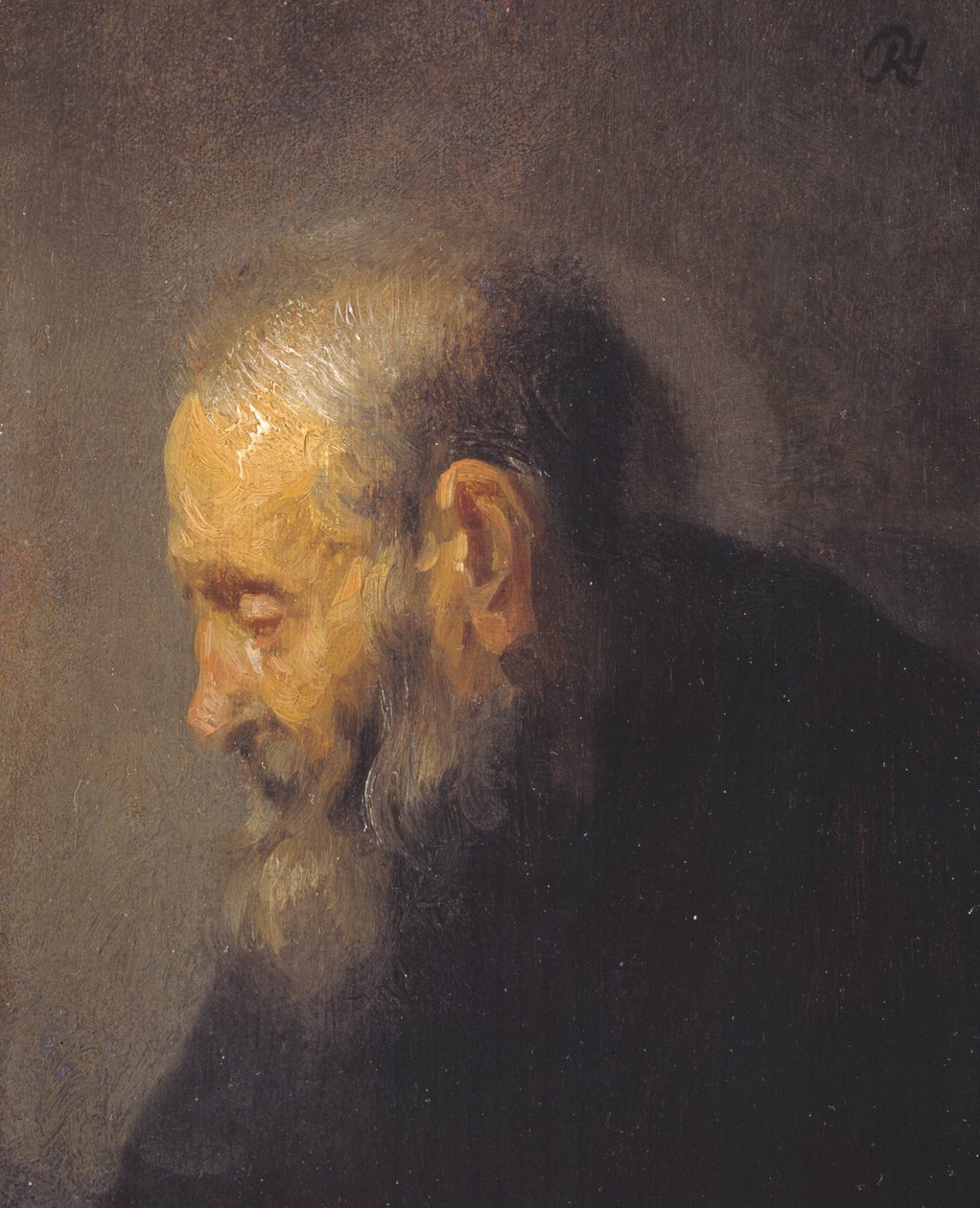 Estudo de um ancião em perfil de Rembrandt van Rijn