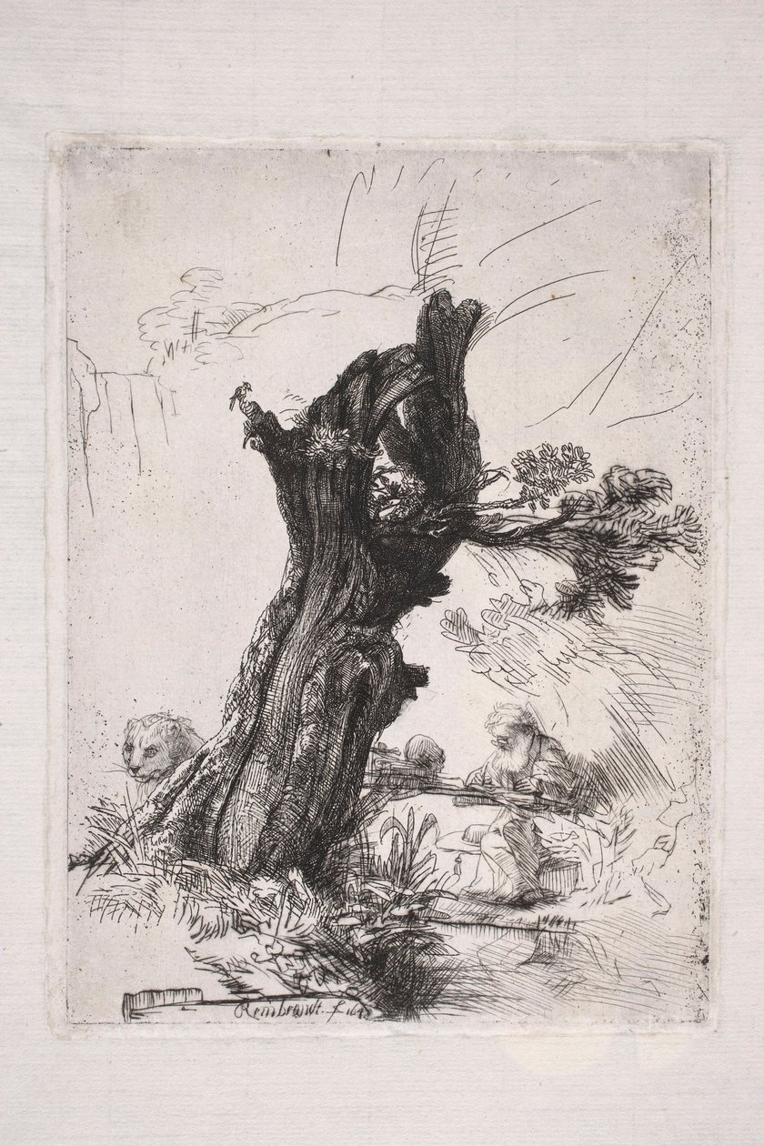 São Jerónimo a escrever junto ao tronco de um salgueiro de Rembrandt van Rijn