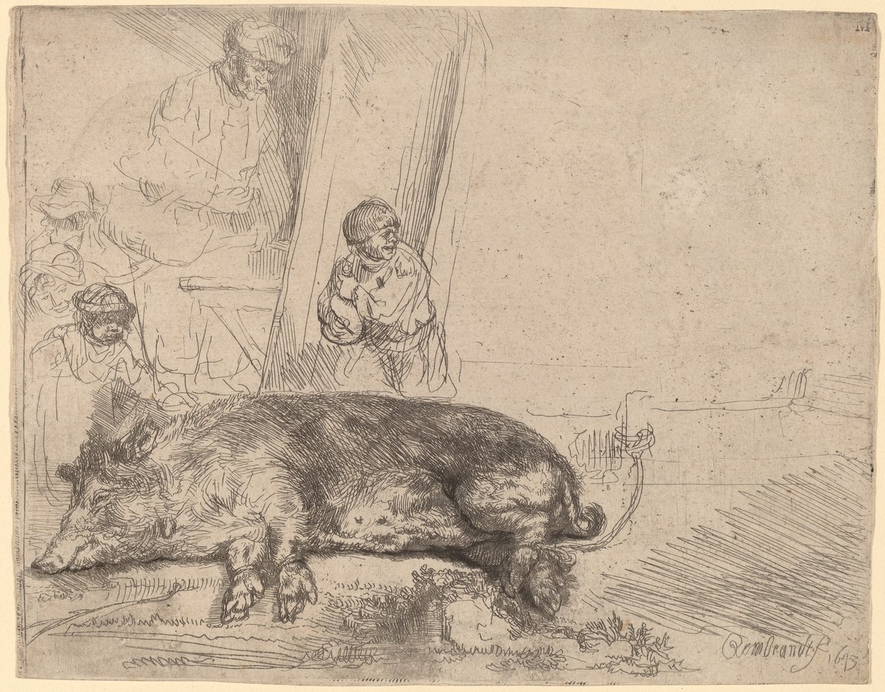 O porco de Rembrandt van Rijn