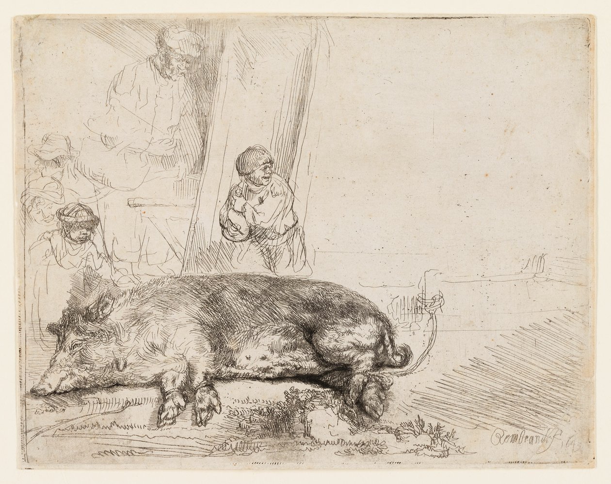 O porco de Rembrandt van Rijn