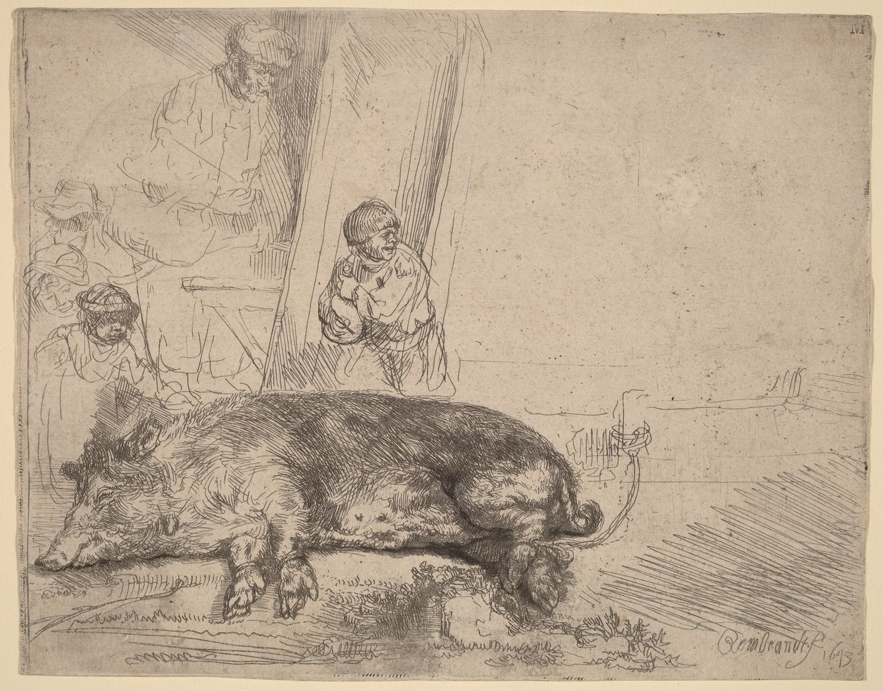 O Porco de Rembrandt van Rijn
