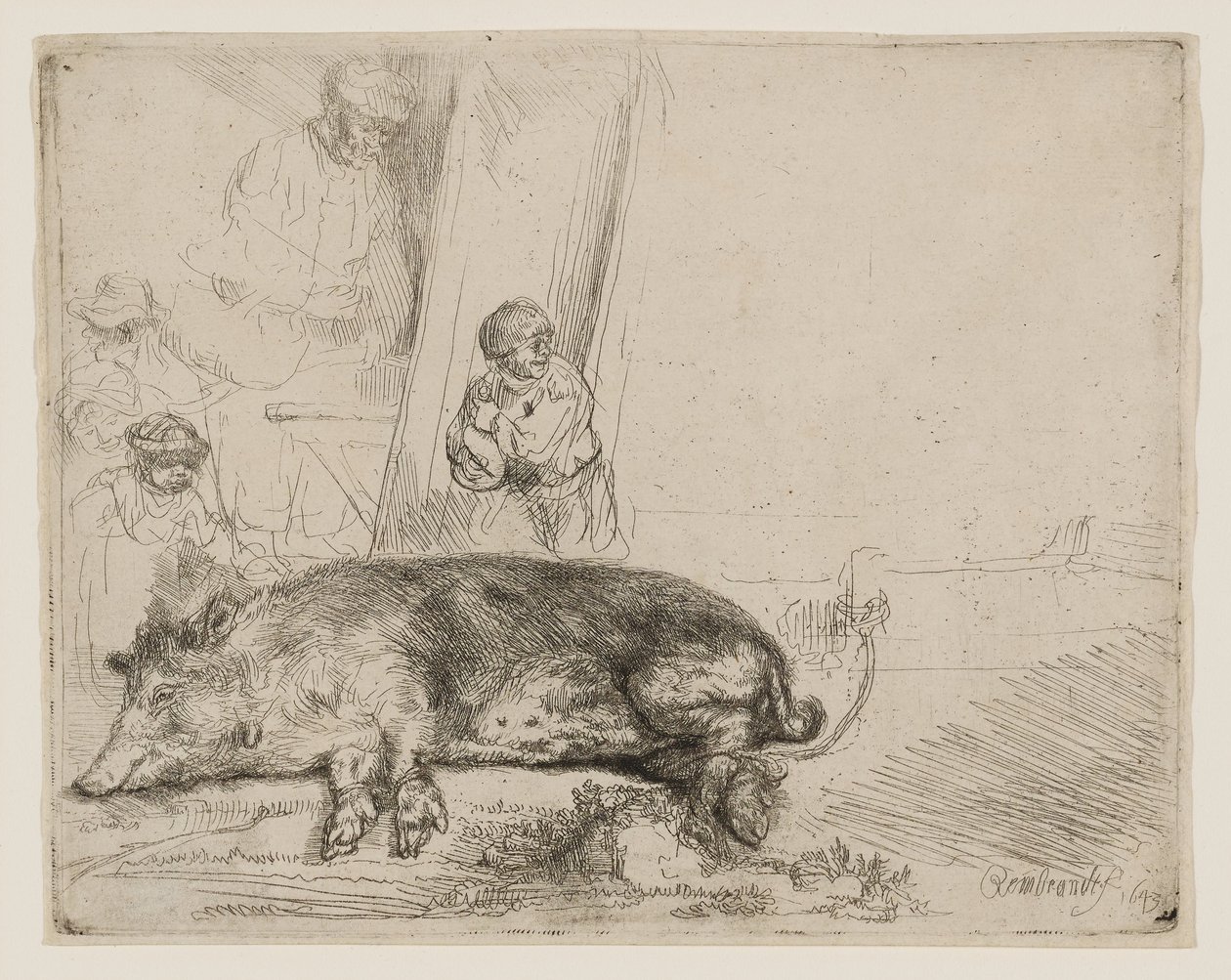 O Porco de Rembrandt van Rijn