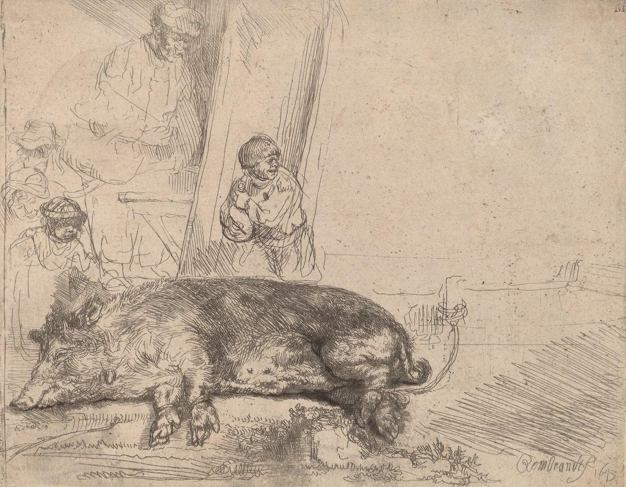 O Porco, 1643. de Rembrandt van Rijn