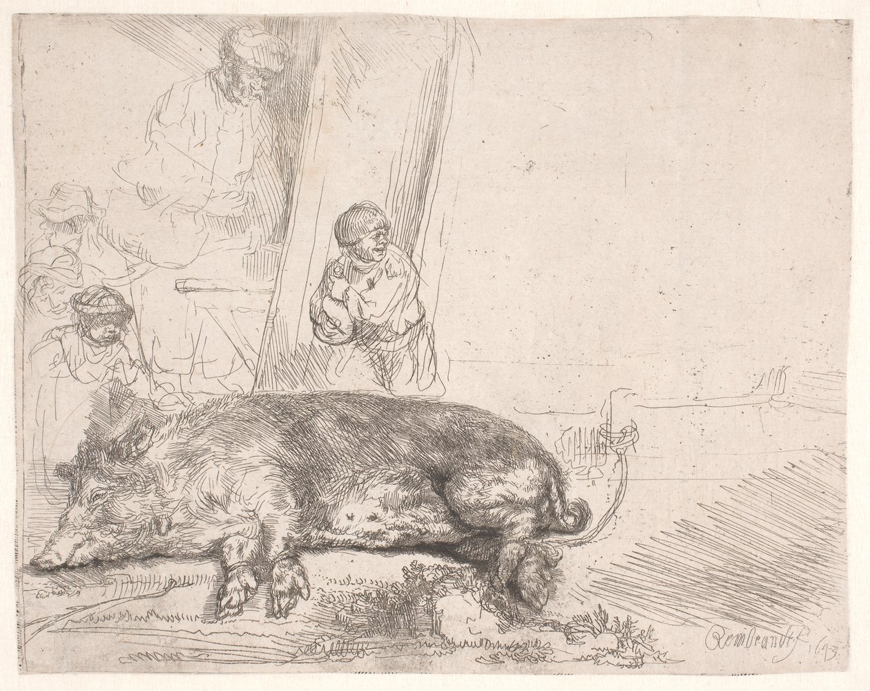 O porco de Rembrandt van Rijn