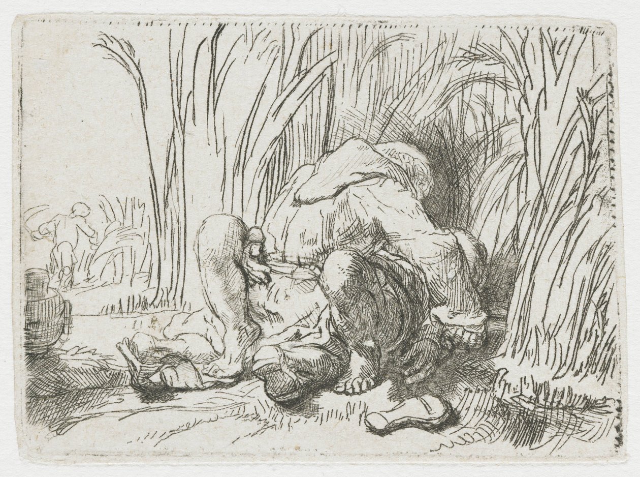 O monge no milheiral de Rembrandt van Rijn