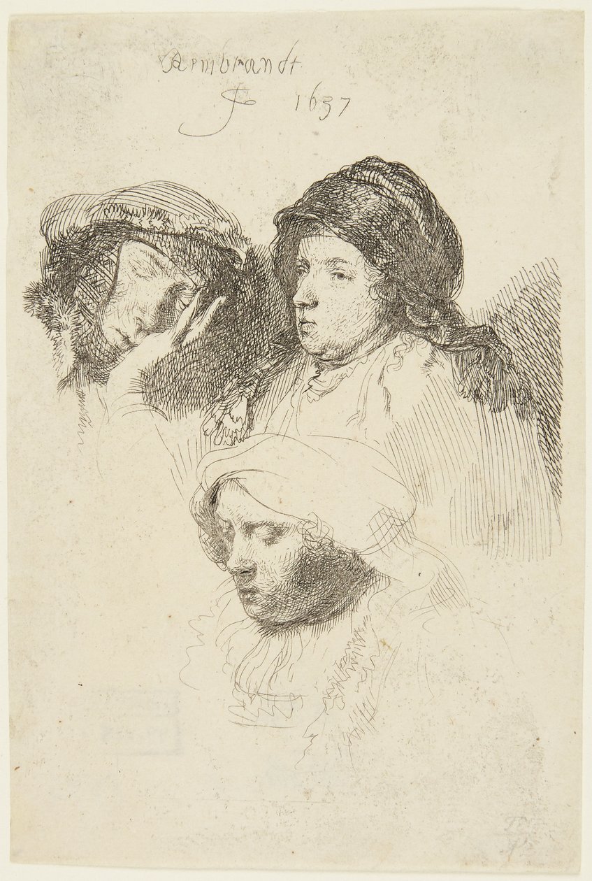 Três cabeças de mulheres de Rembrandt van Rijn