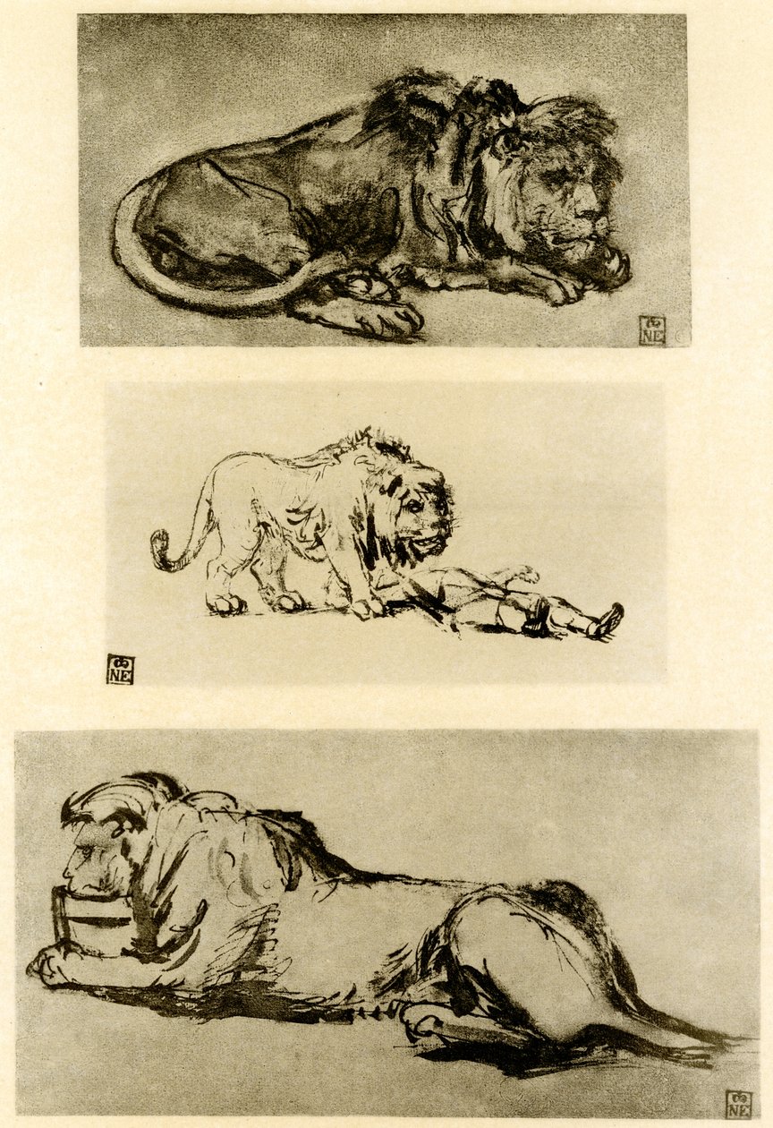Três estudos de leão de Rembrandt van Rijn