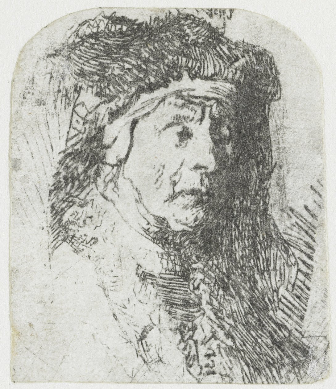 Mulher com um manto de peles aparadas
Busto de uma mulher idosa com um manto peludo e um pesado toucado de Rembrandt van Rijn