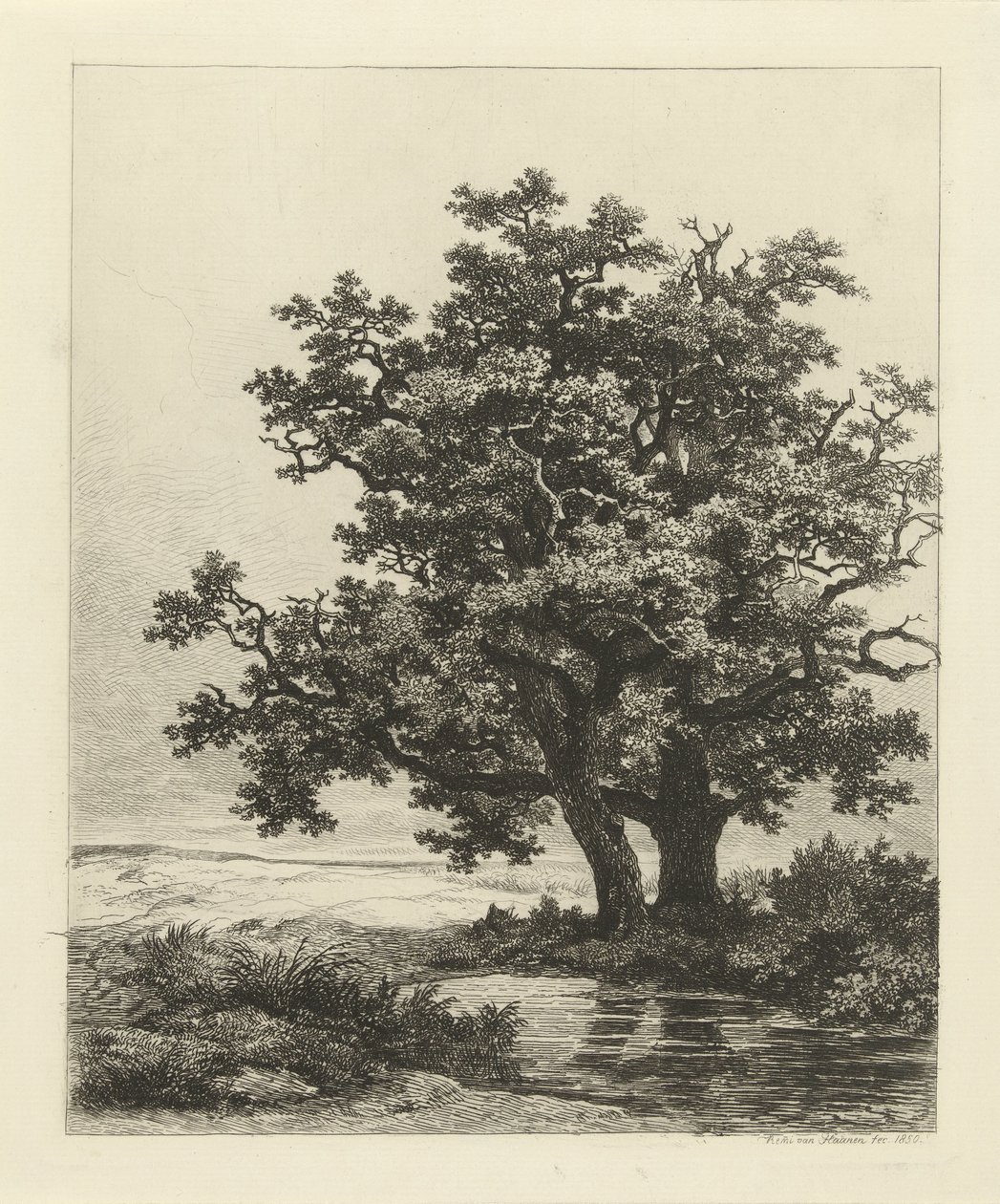 Dois carvalhos em um lago de Remigius Adrianus Haanen