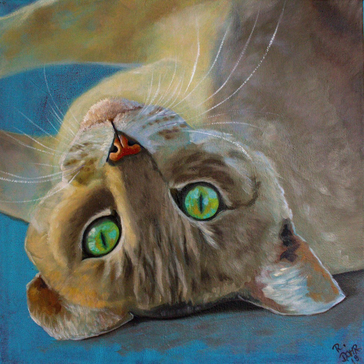 Sorte de gato de Renate Dohr