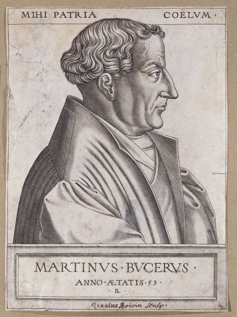 Martin Bucer (1491-1551) aos 53 anos de idade de Rene Boyvin
