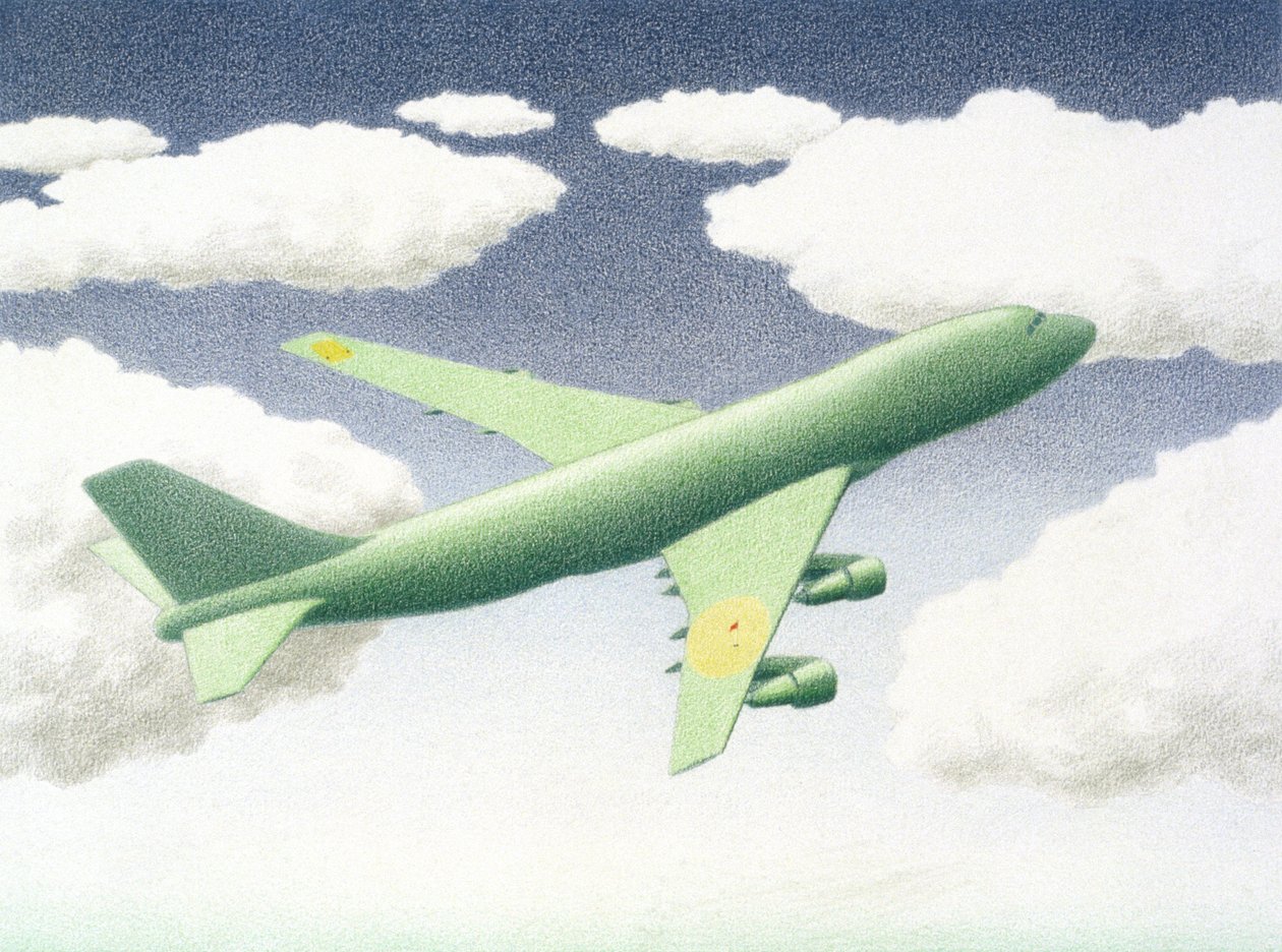 Altitude de Rene Boin
