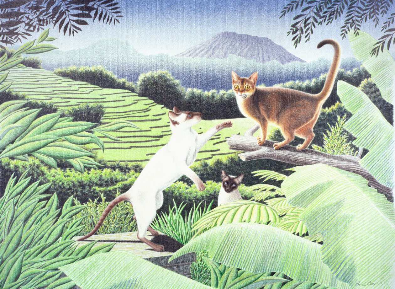 Bali, 2002, desenho a lápis de cor sobre papel de Rene Boin