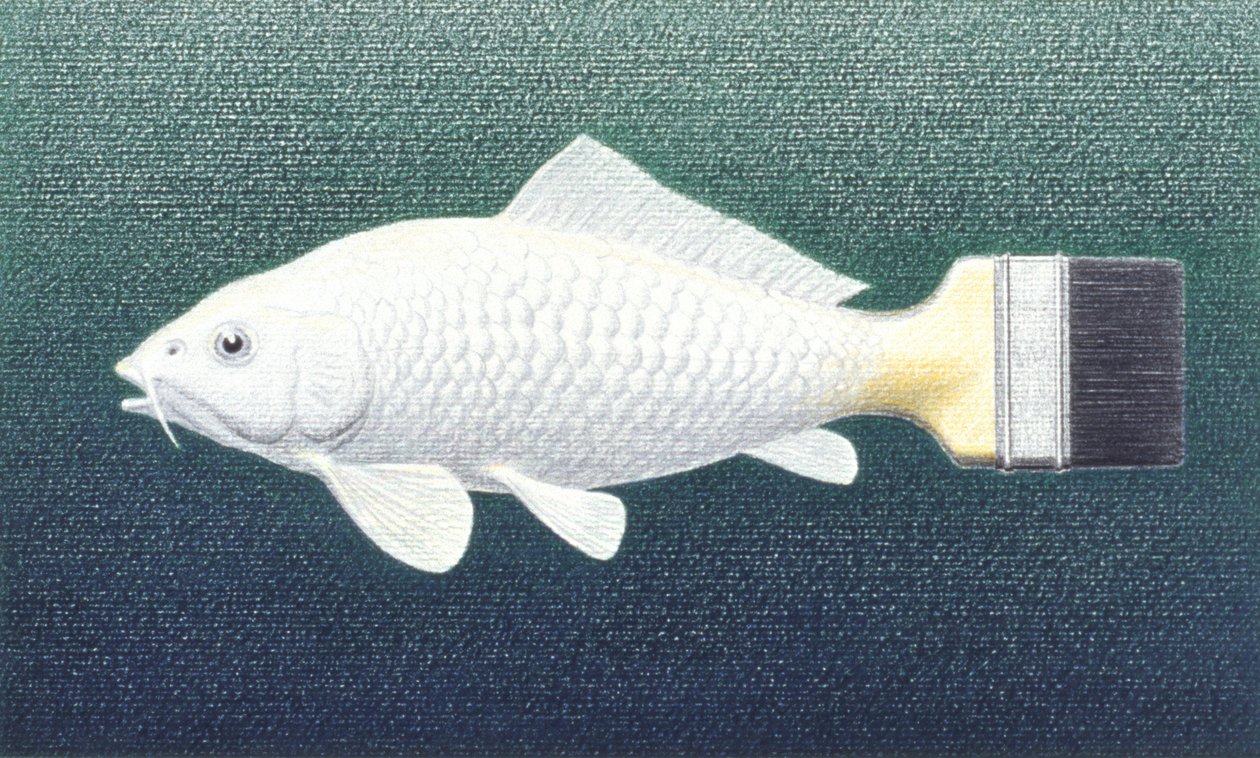 Brushfish, 2003, desenho a lápis de cor sobre papel de Rene Boin