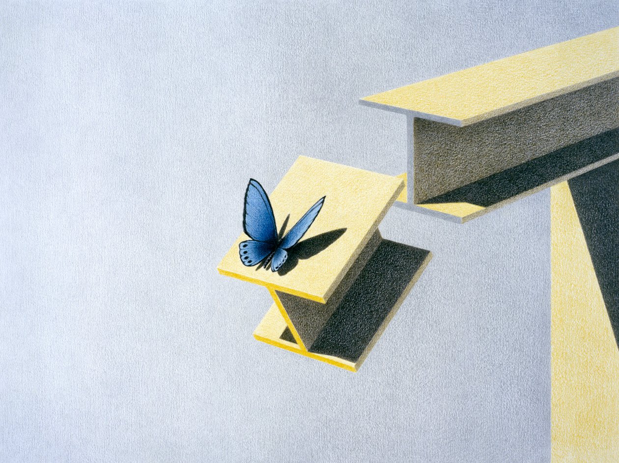 Borboleta de Rene Boin