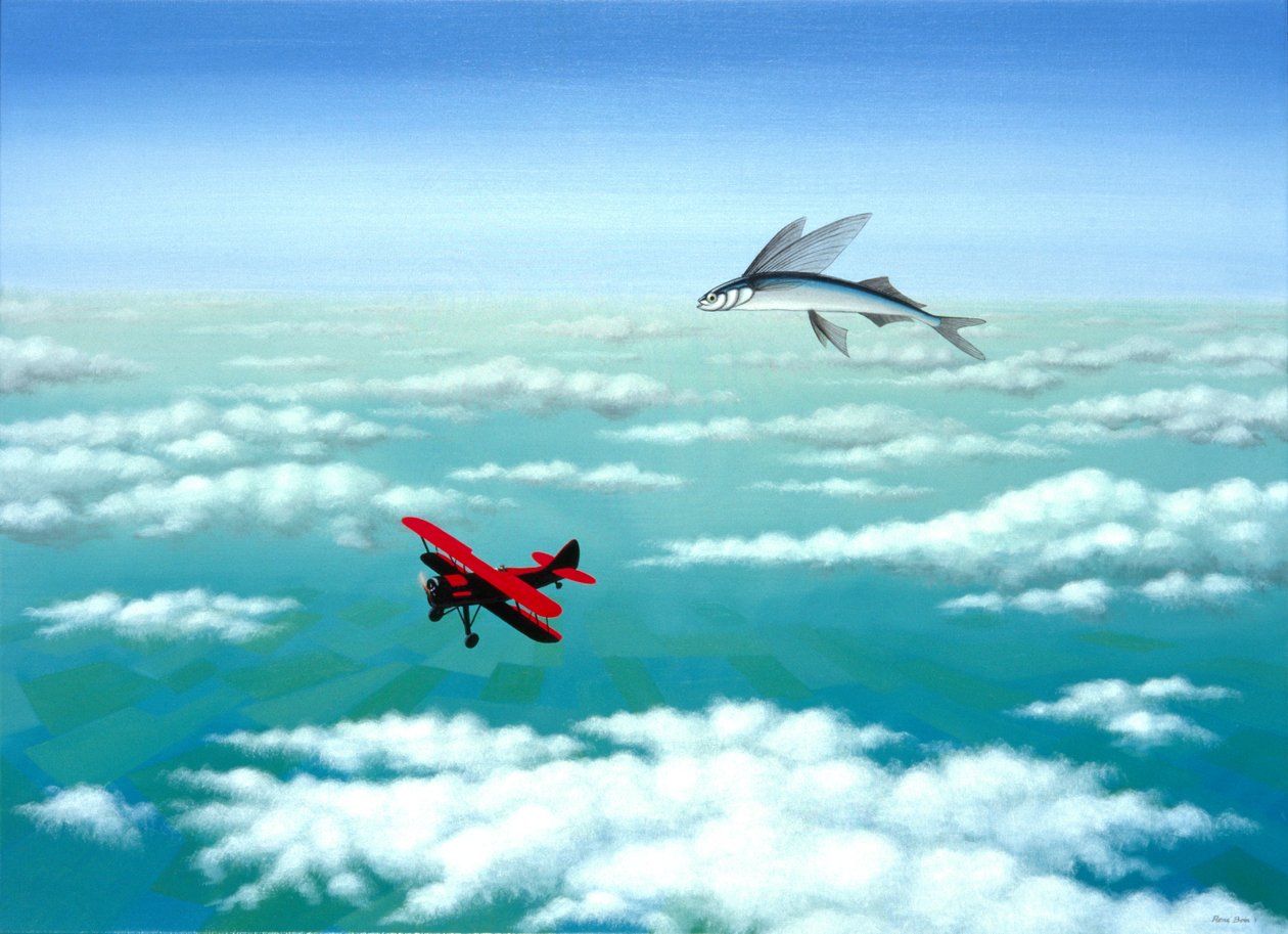 Flying Fish, 2001, Óleo sobre tela de Rene Boin
