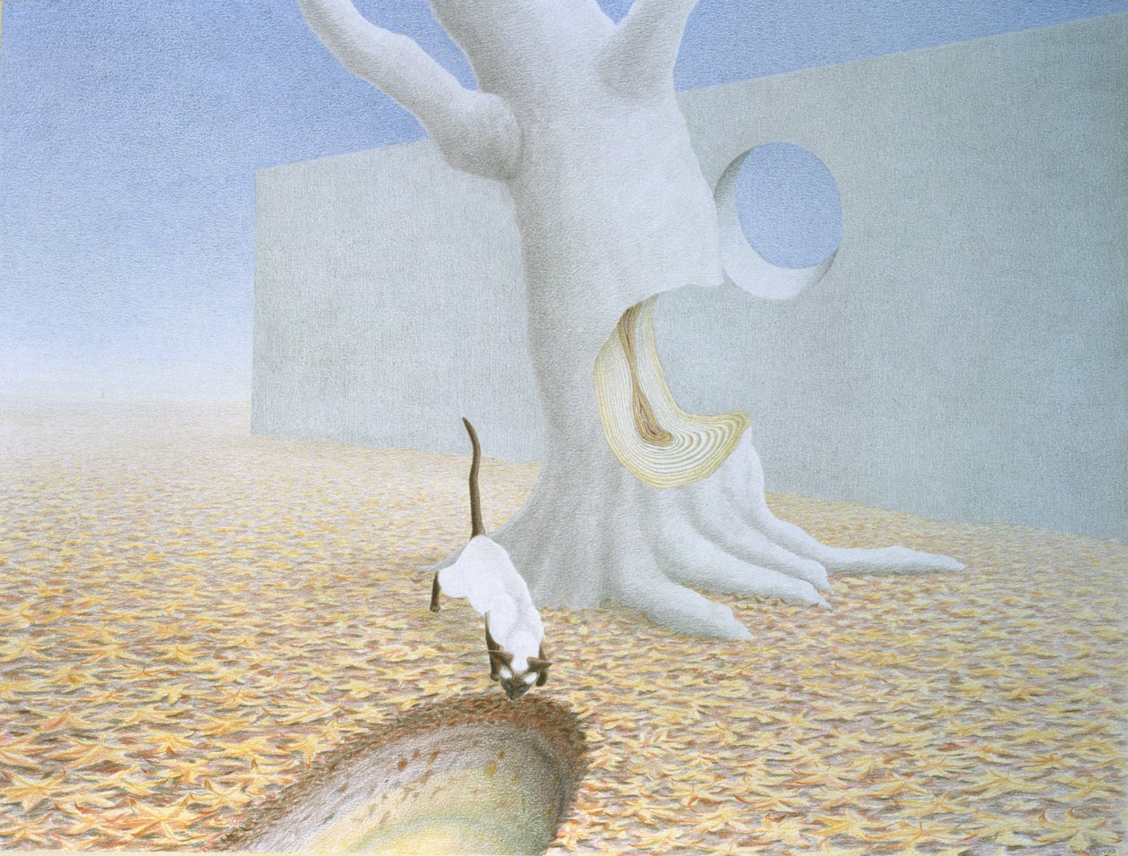 Furos de Rene Boin