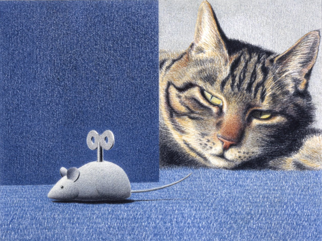 Rato de Rene Boin