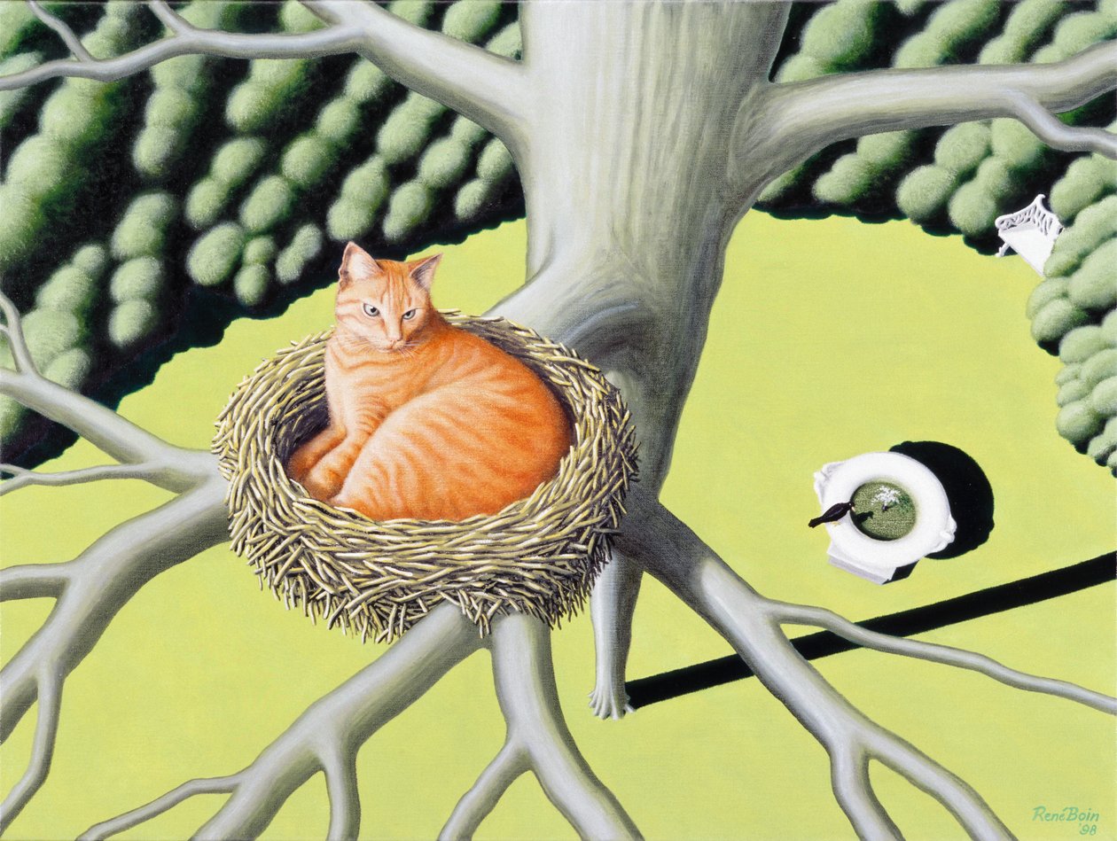 Nest de Rene Boin